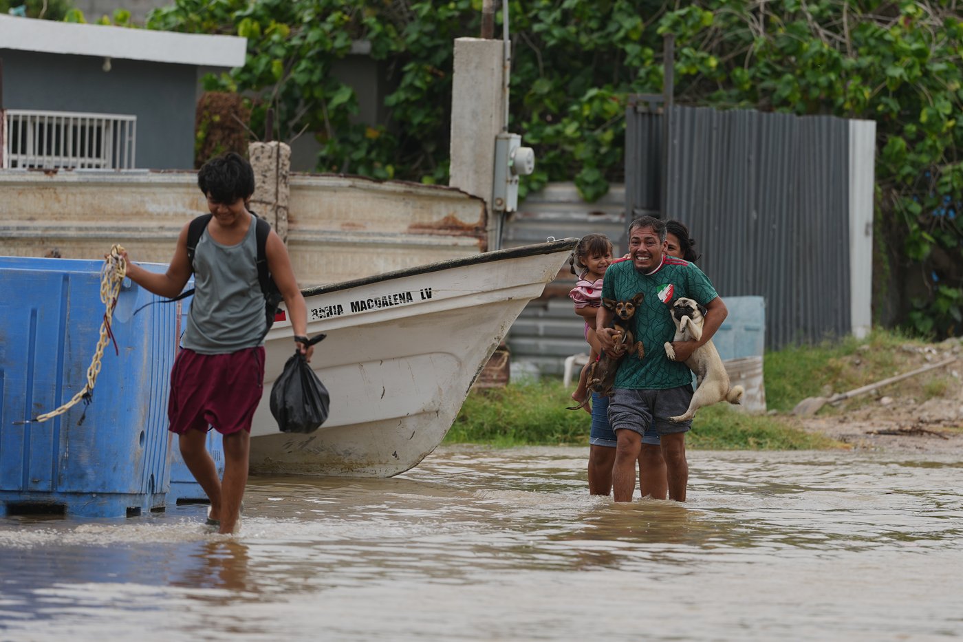 Hurricane Polo makes landfall in Baja California, flooding coastal communities and toppling trees | iNFOnews.ca
