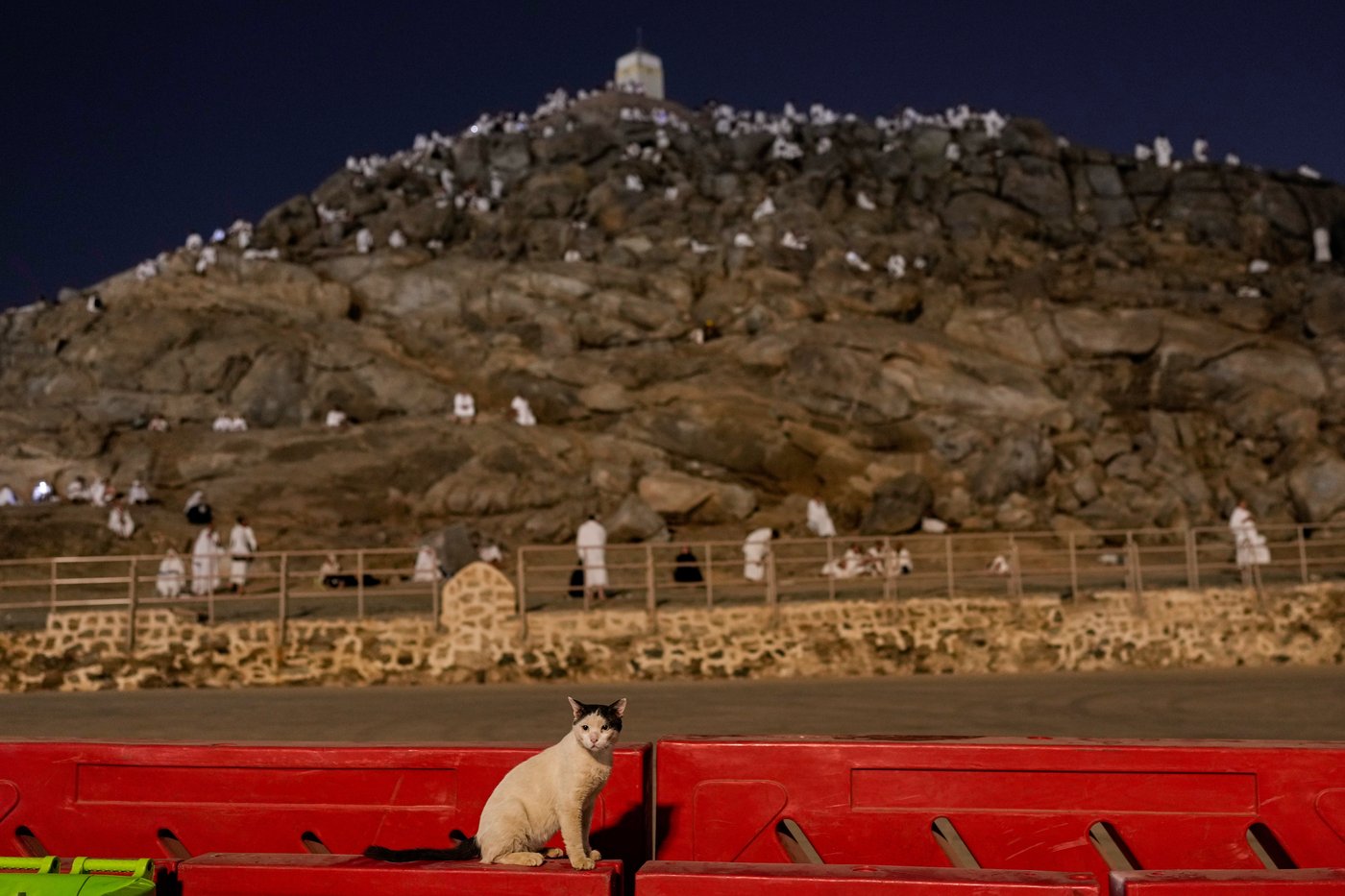 The top photos of the day by AP photojournalists | iNFOnews.ca