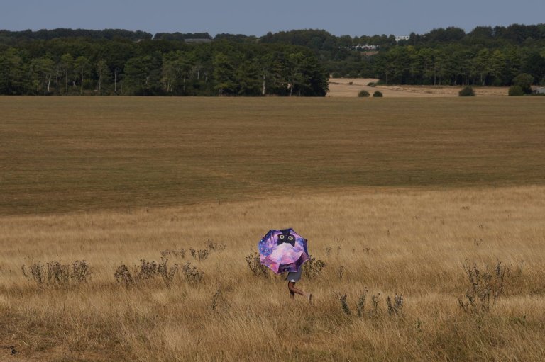 France and England battle multiple wildfires as record heat grips Europe | iNFOnews.ca