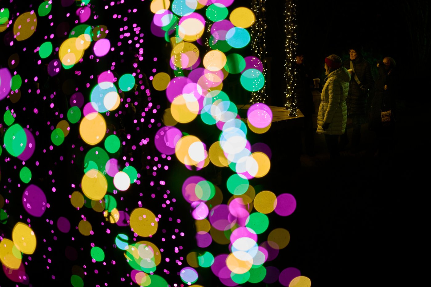 Photos show a world aglow with holiday lights | iNFOnews.ca