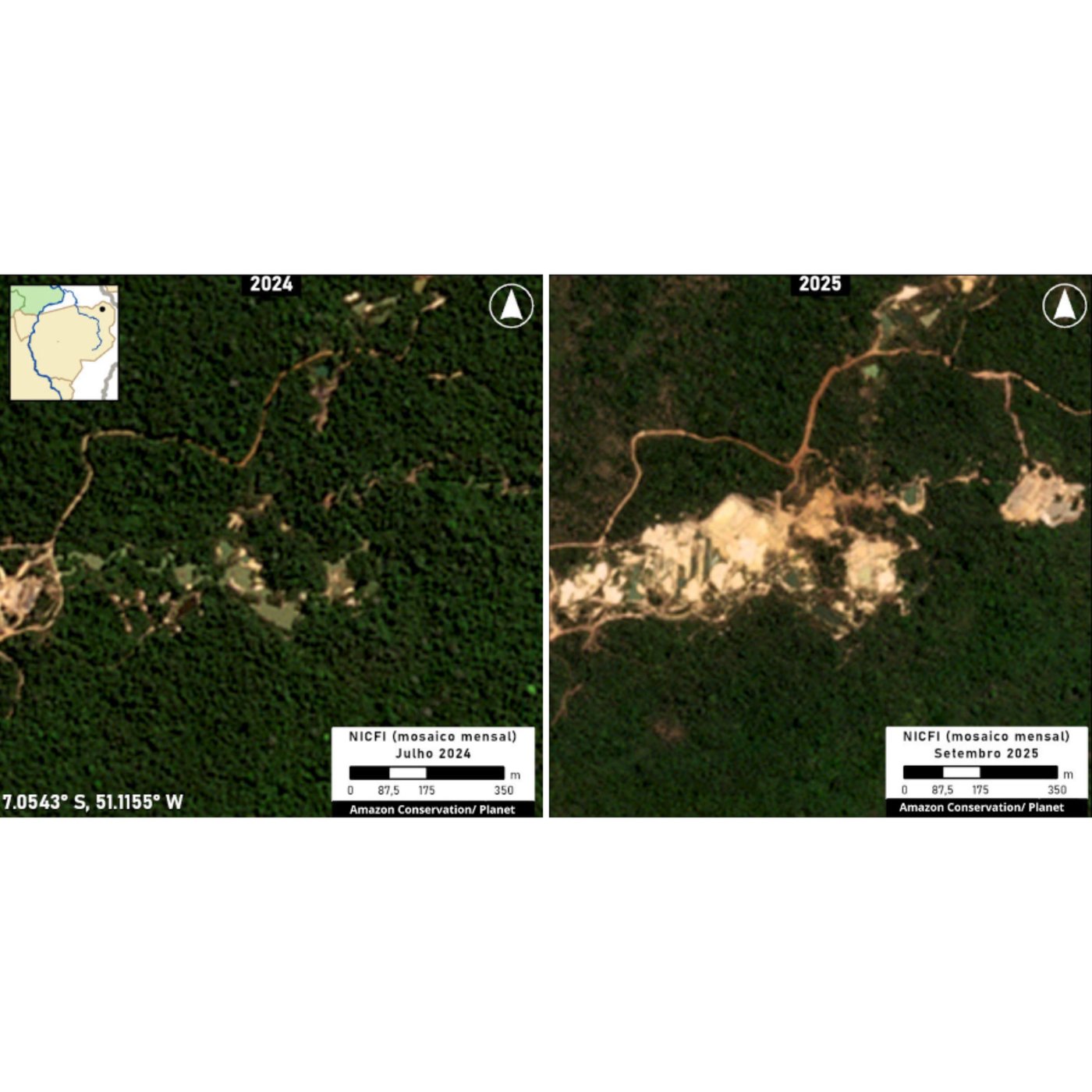 A gold-fueled mining rush scars Brazil’s Amazon, spiking deforestation and mercury risks | iNFOnews.ca A gold-fueled mining rush scars Brazil’s Amazon, spiking deforestation and mercury risks | iNFOnews.ca