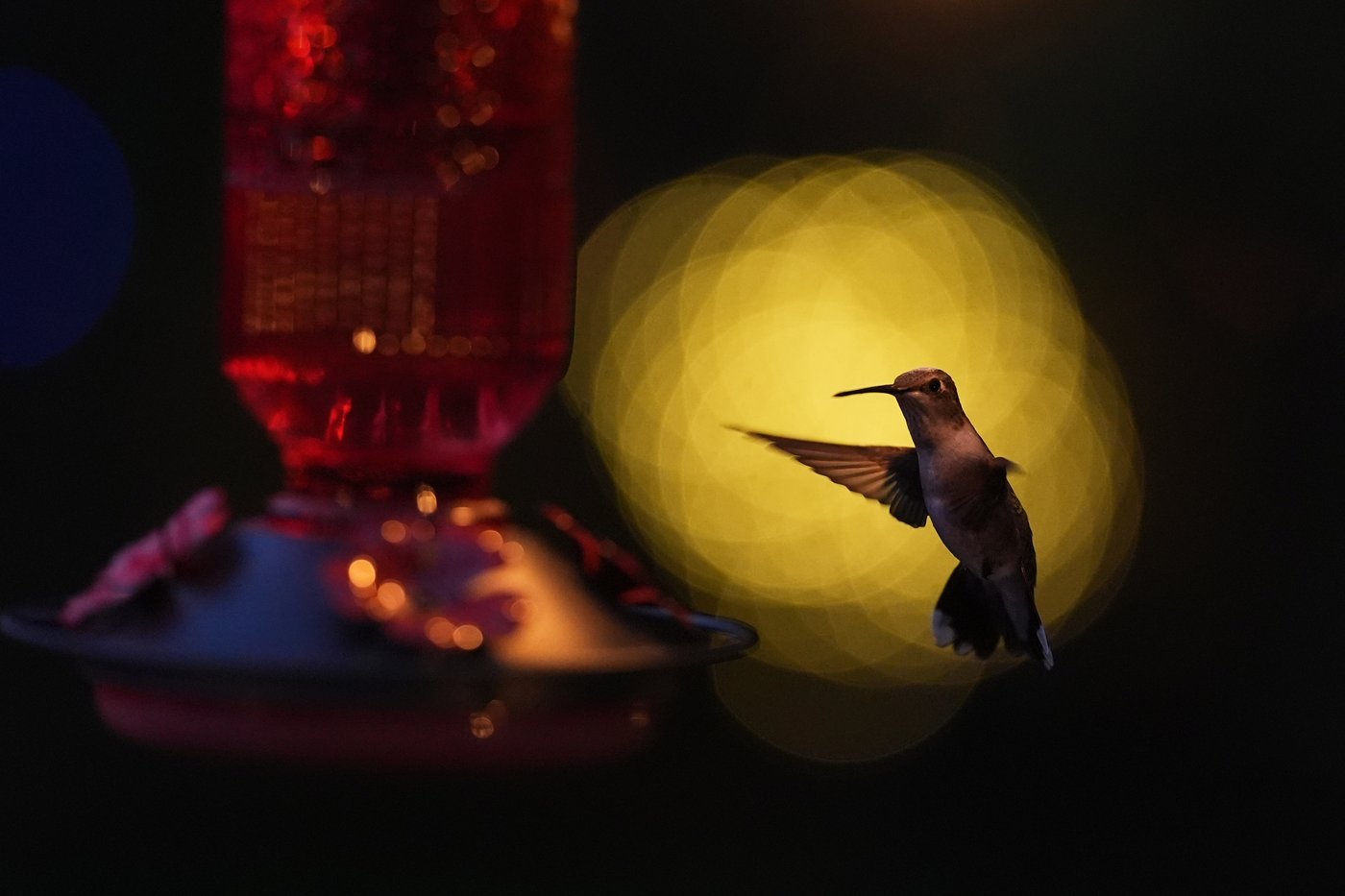 The top photos of the day by AP's photojournalists | iNFOnews.ca