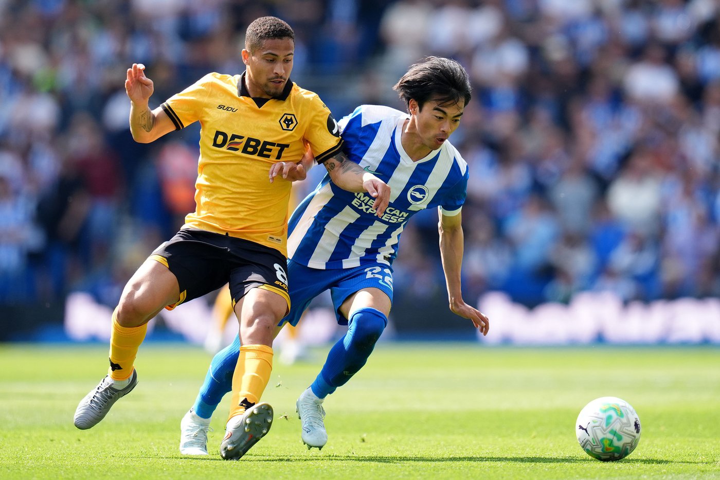 Japan waits on star forward Mitoma's fitness for World Cup after injury in Brighton game | iNFOnews.ca Japan waits on star forward Mitoma's fitness for World Cup after injury in Brighton game | iNFOnews.ca