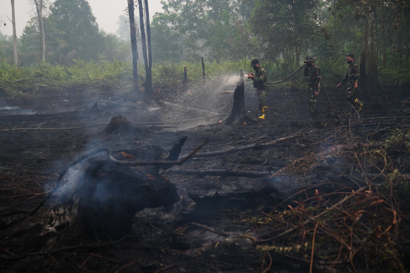 Indonesian villagers on Borneo struggle for water as El Niño intensifies peatland fires | iNFOnews.ca Indonesian villagers on Borneo struggle for water as El Niño intensifies peatland fires | iNFOnews.ca