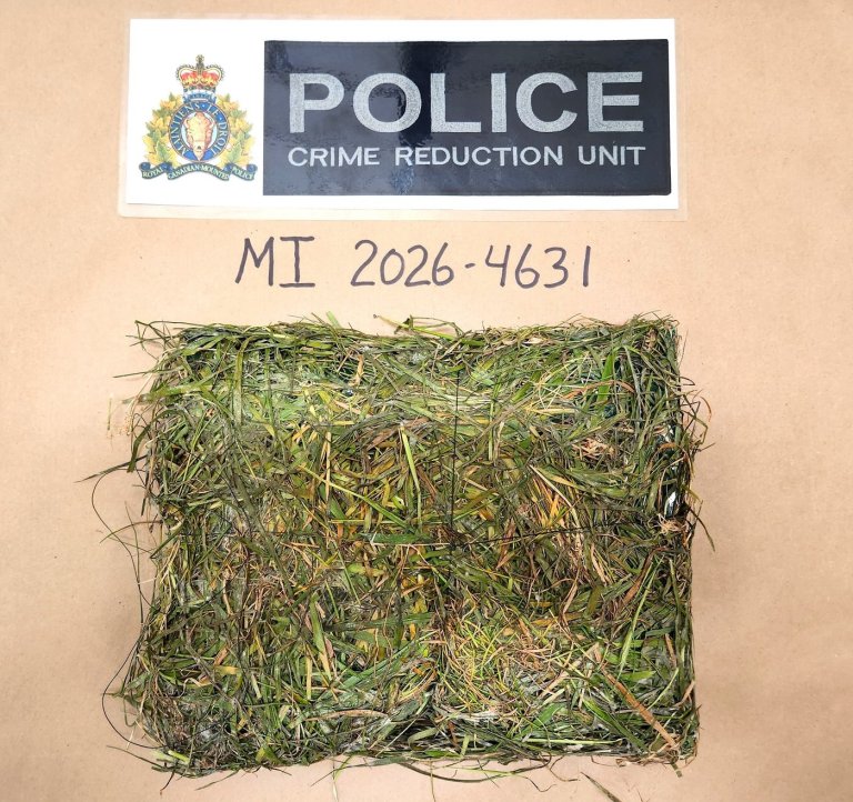 Turf war: B.C. prison finds drug package disguised as grass patch dropped over fence | iNFOnews.ca