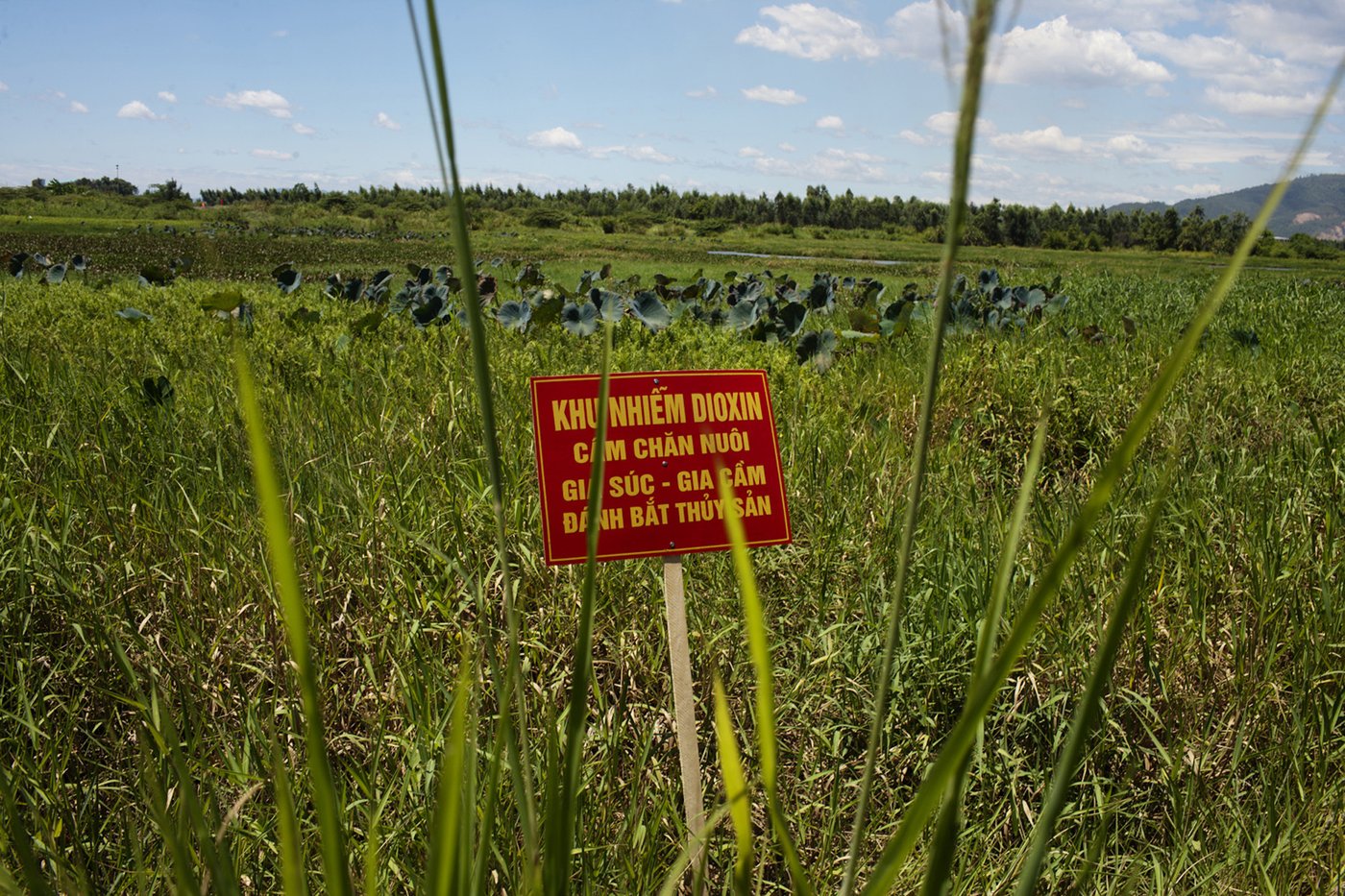 Takeaways from the AP's report on how USAID cuts are imperiling Agent Orange cleanup | iNFOnews.ca Takeaways from the AP's report on how USAID cuts are imperiling Agent Orange cleanup | iNFOnews.ca