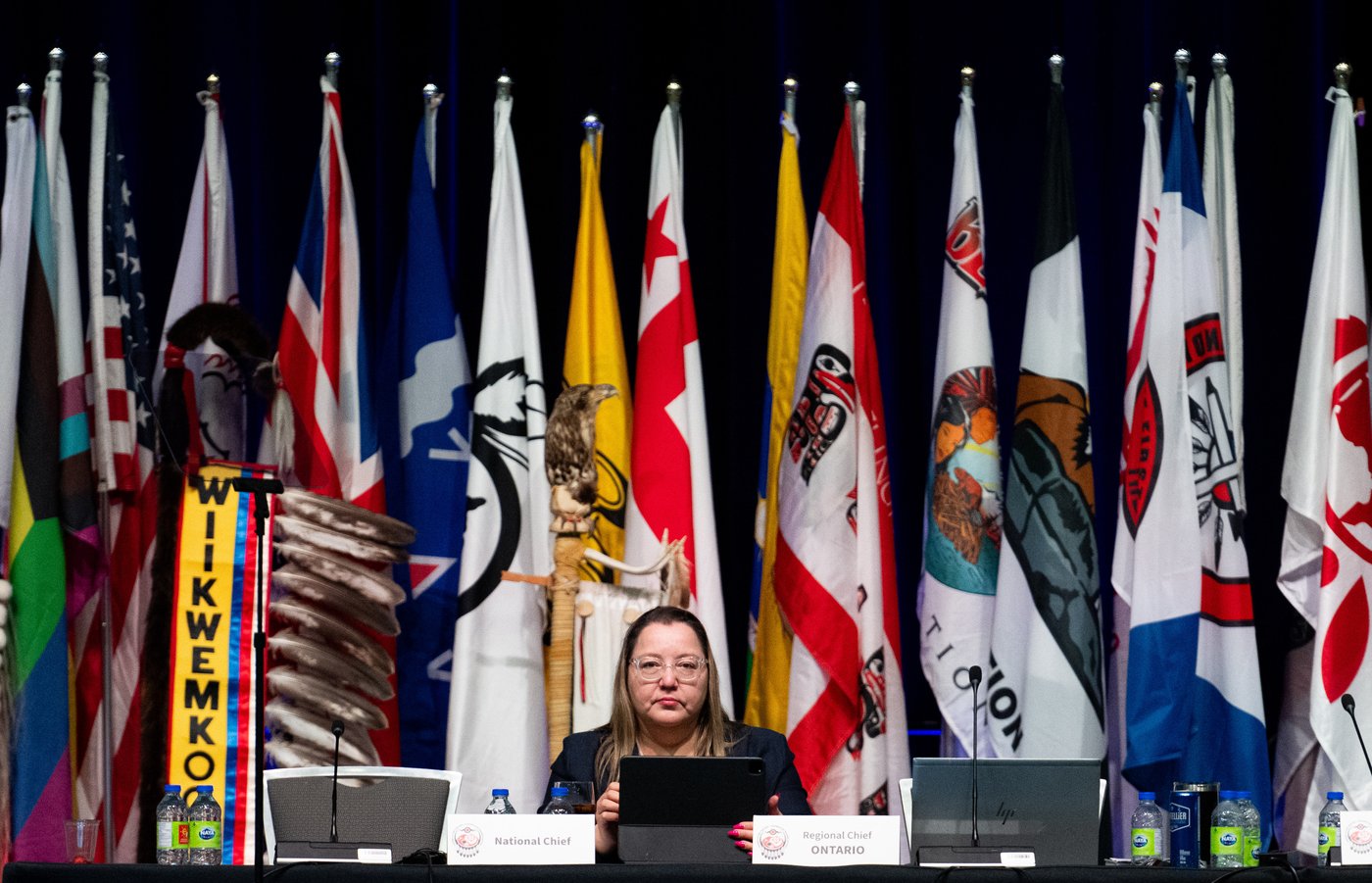 AFN, mothers call on all parties to support inquiry into policing | iNFOnews.ca