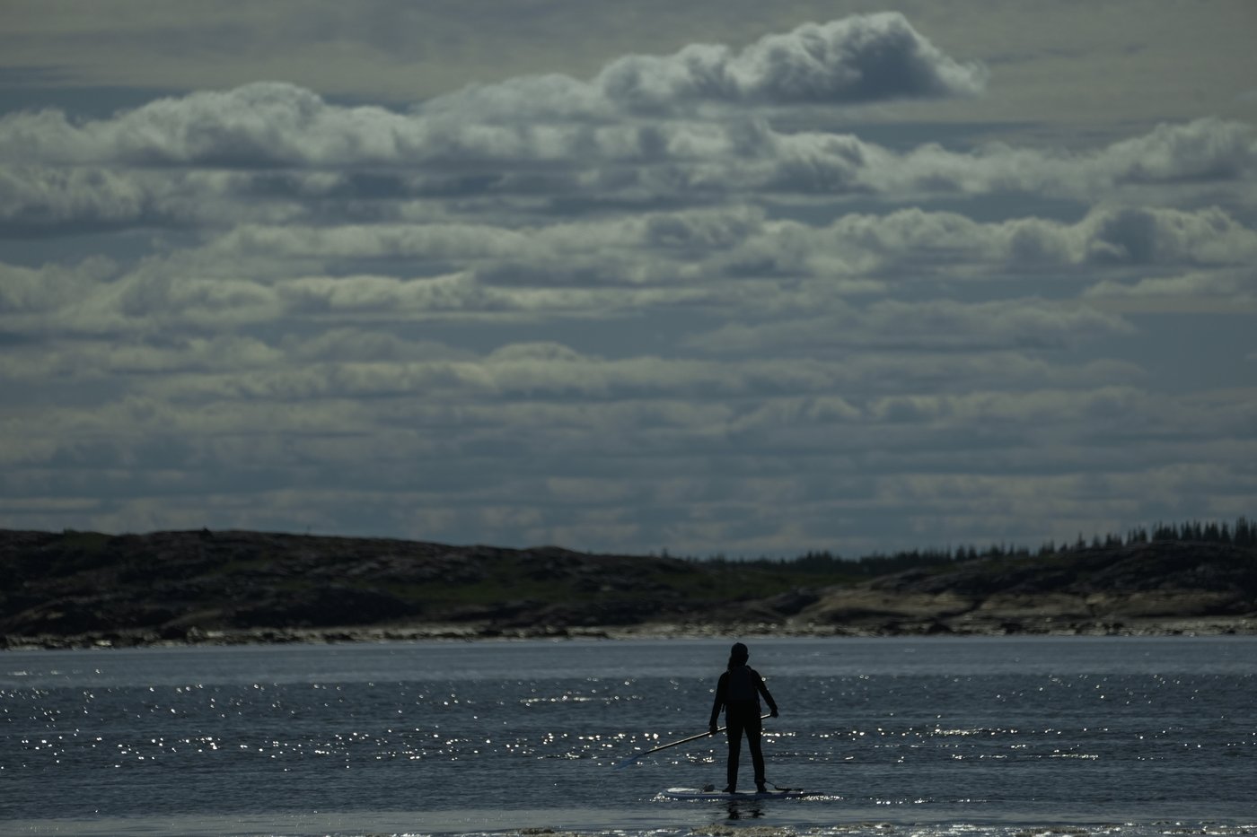 Offering a dose of healing, curious beluga whales frolic in a warming Hudson Bay | iNFOnews.ca Offering a dose of healing, curious beluga whales frolic in a warming Hudson Bay | iNFOnews.ca