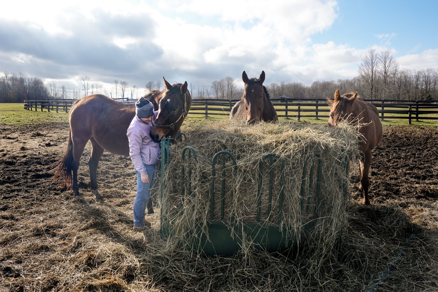 How horses helped champion jockey Eurico Rosa da Silva heal and help others | iNFOnews.ca How horses helped champion jockey Eurico Rosa da Silva heal and help others | iNFOnews.ca