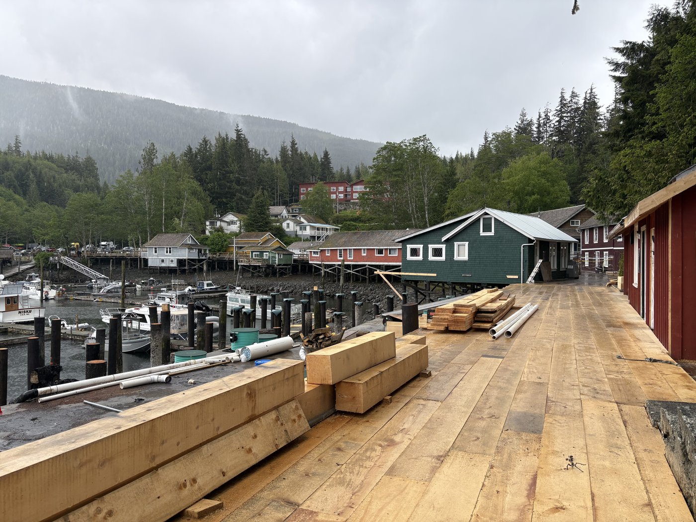 Northern lights inspire recovery in Telegraph Cove, B.C., year after devastating fire | iNFOnews.ca Northern lights inspire recovery in Telegraph Cove, B.C., year after devastating fire | iNFOnews.ca