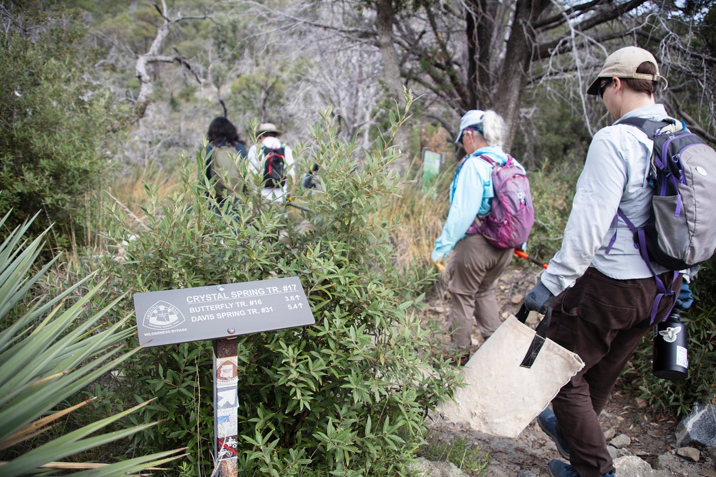 On Mount Lemmon, volunteers give unemployed rocks a new job: Erosion control | iNFOnews.ca On Mount Lemmon, volunteers give unemployed rocks a new job: Erosion control | iNFOnews.ca