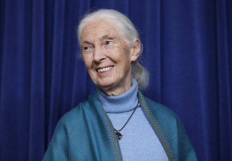 'No one of her stature': Conservationist Jane Goodall remembered in Canada | iNFOnews.ca