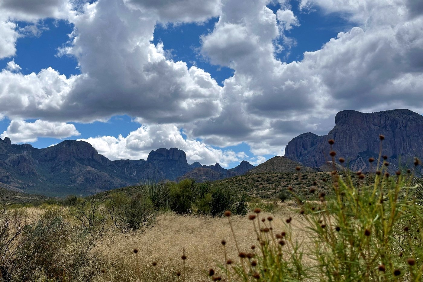 Trump administration considers scaling back border project in Texas' Big Bend National Park | iNFOnews.ca Trump administration considers scaling back border project in Texas' Big Bend National Park | iNFOnews.ca