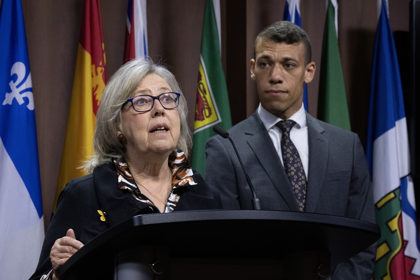 Pedneault intends to become co-leader of the Greens again after six-month pause | iNFOnews.ca Pedneault intends to become co-leader of the Greens again after six-month pause | iNFOnews.ca