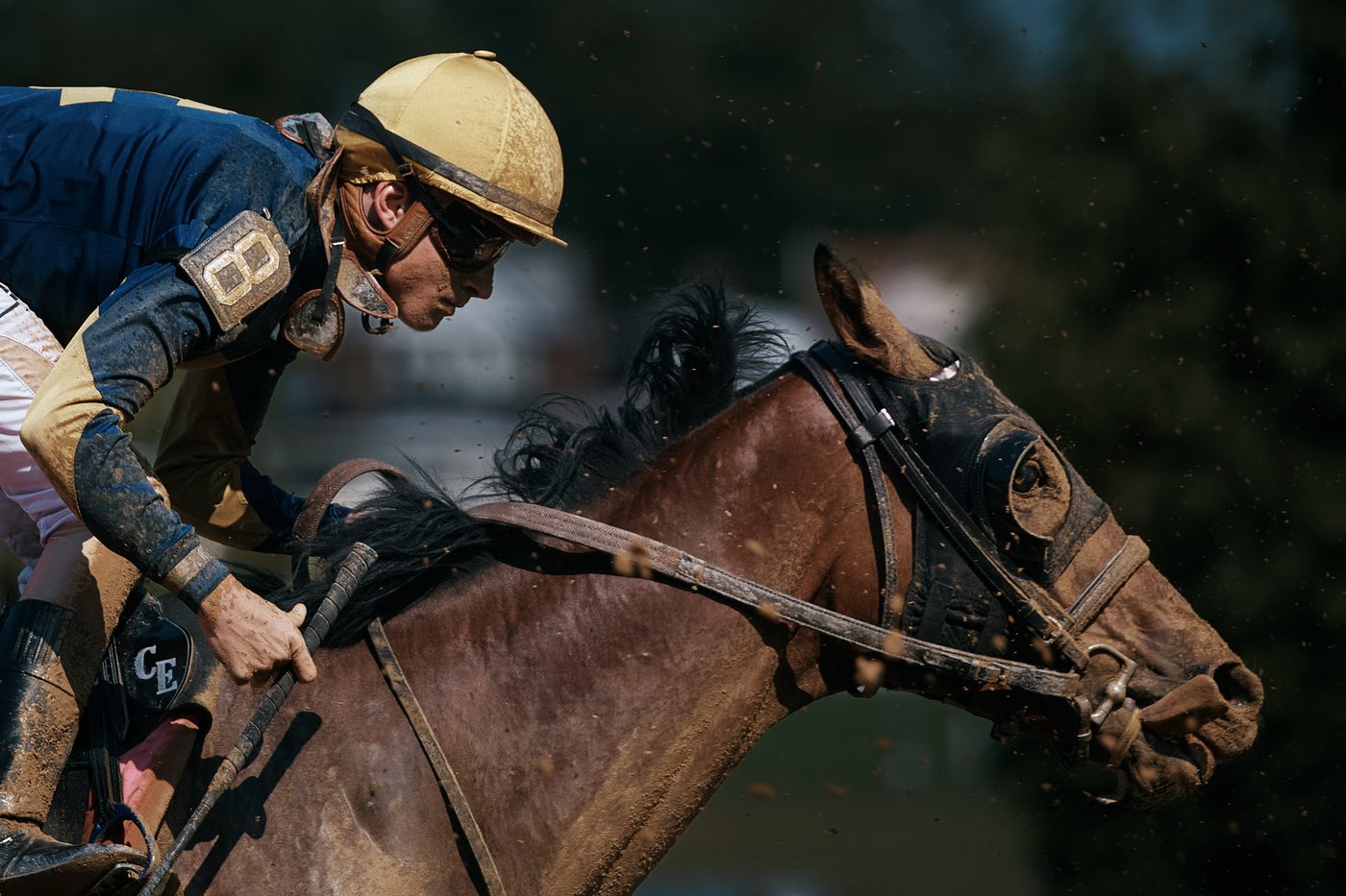 PHOTO ESSAY: Aqueduct Race Track closes after 'A Good Run' of over 130 years | iNFOnews.ca