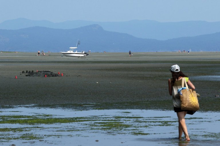 Heat warnings expand to much of southern B.C. as daily temperature records fall | iNFOnews.ca