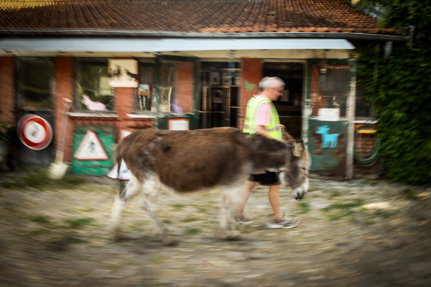 Patients find help with therapy donkeys at psychiatric hospital near Paris | iNFOnews.ca Patients find help with therapy donkeys at psychiatric hospital near Paris | iNFOnews.ca