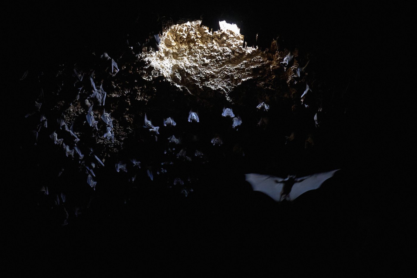 A 100,000-year-old burial site in Israel is changing what we know about early humans | iNFOnews.ca A 100,000-year-old burial site in Israel is changing what we know about early humans | iNFOnews.ca