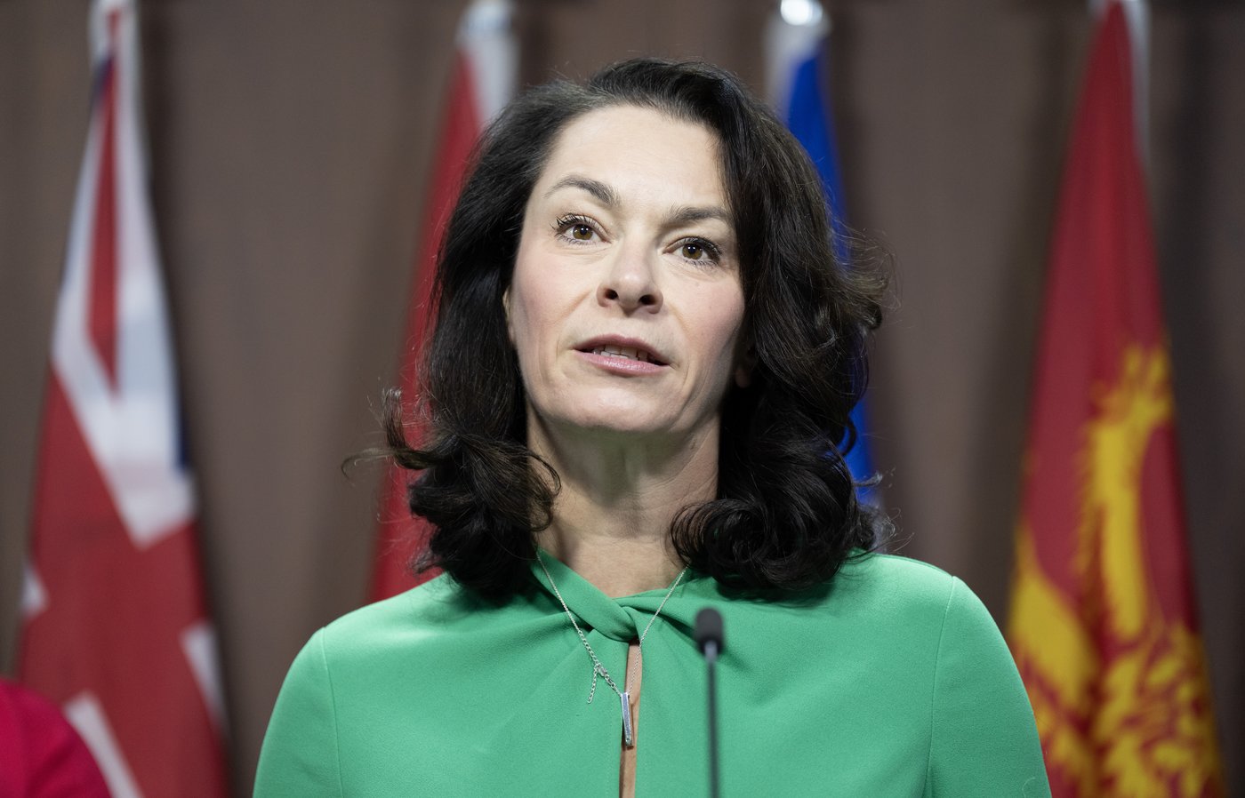 Most NDP leadership candidates say they're in no hurry to become MPs | iNFOnews.ca