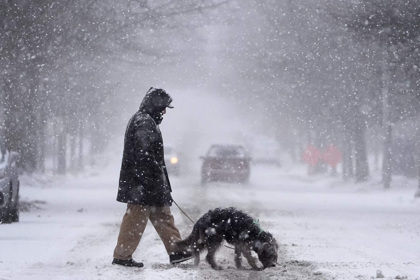 The heaviest snowfall in a decade is possible as a wintry blast roils parts of the US | iNFOnews.ca