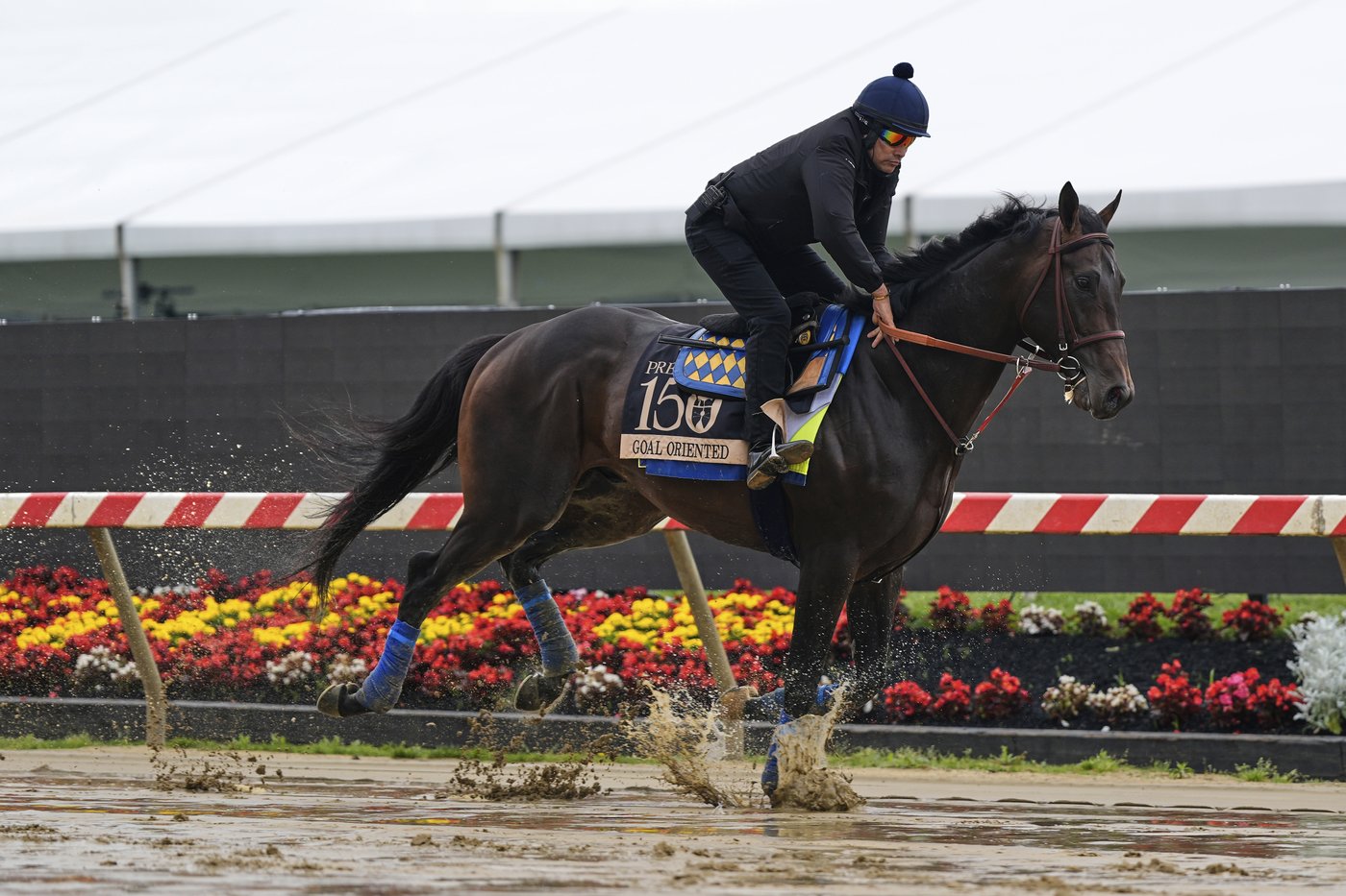 Another Kentucky Derby winner not in the Preakness reignites debate about Triple Crown changes | iNFOnews.ca Another Kentucky Derby winner not in the Preakness reignites debate about Triple Crown changes | iNFOnews.ca