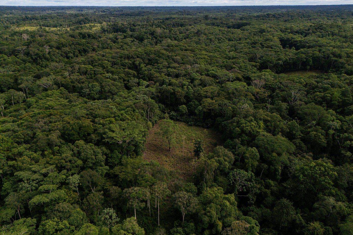 US lawmakers urge Trump administration to oppose Colombia's Amazon aerial spraying plans | iNFOnews.ca