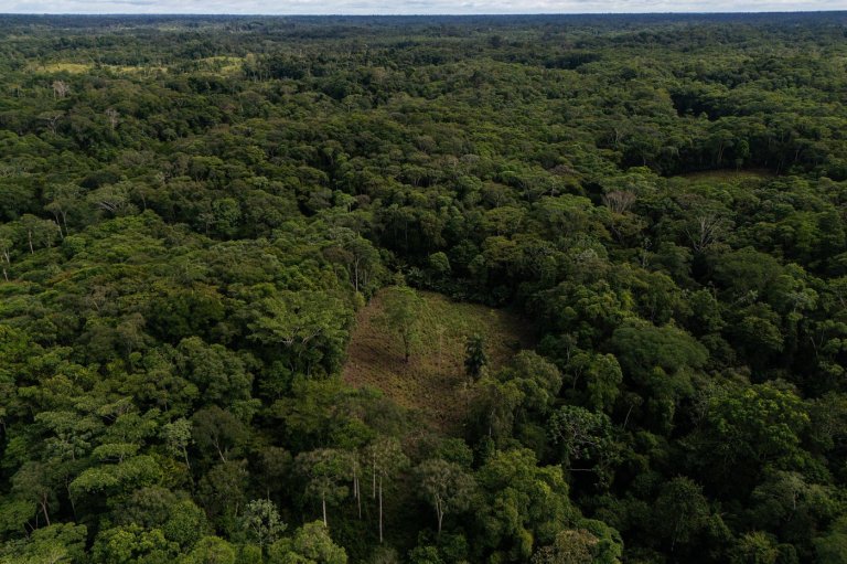 US lawmakers urge Trump administration to oppose Colombia's Amazon aerial spraying plans | iNFOnews.ca