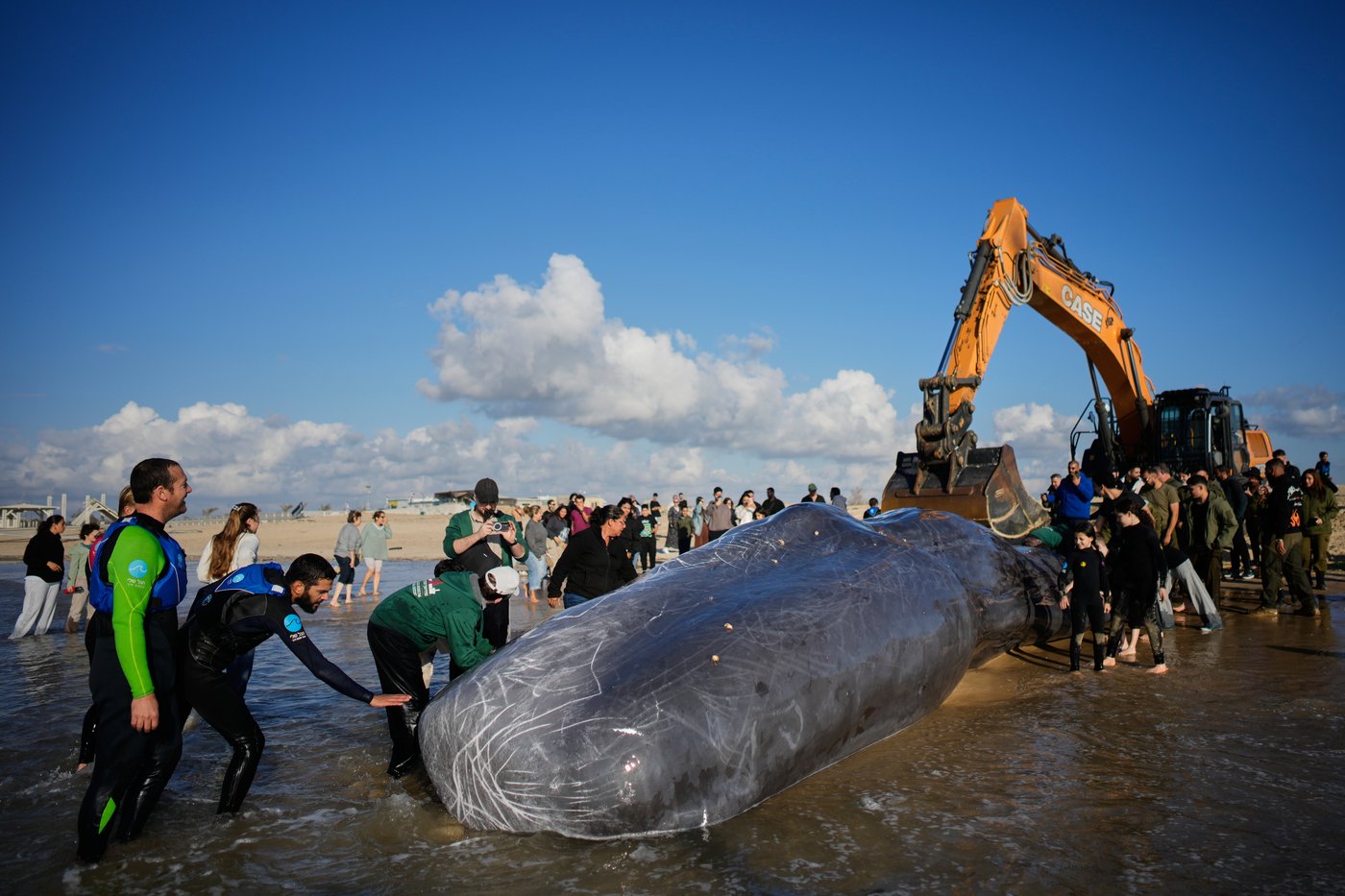 The top photos of the day by AP's photojournalists | iNFOnews.ca