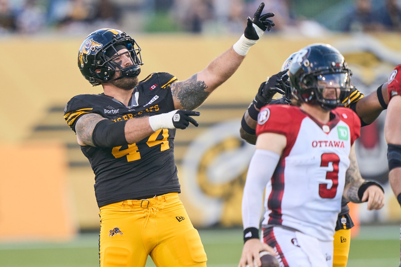 Hamilton Tiger-Cats release veteran American defensive lineman Casey Sayles | iNFOnews.ca