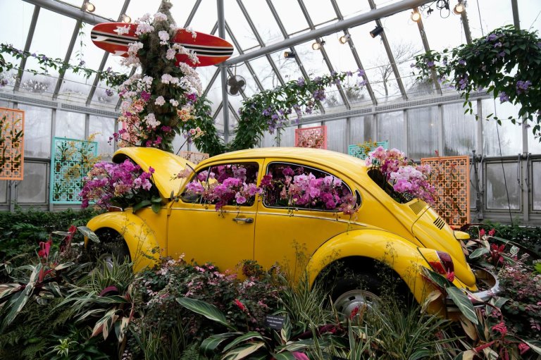 Photos of retro '70s-themed orchids show in Chicago | iNFOnews.ca