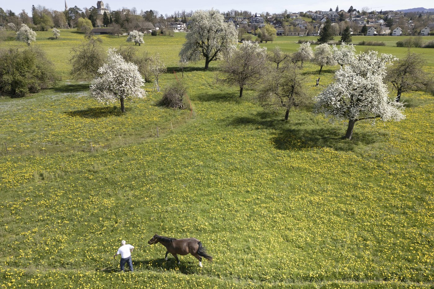 Birds, bees and ballots: Swiss voters to decide on plan to bolster country's fragile biodiversity | iNFOnews.ca Birds, bees and ballots: Swiss voters to decide on plan to bolster country's fragile biodiversity | iNFOnews.ca