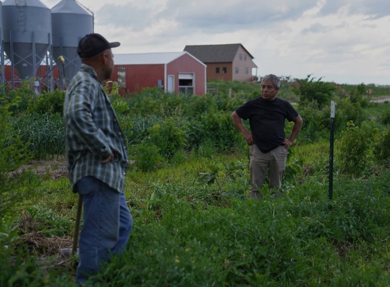For these Midwest farmers, regenerative agriculture is about more than soil health. It's spiritual | iNFOnews.ca