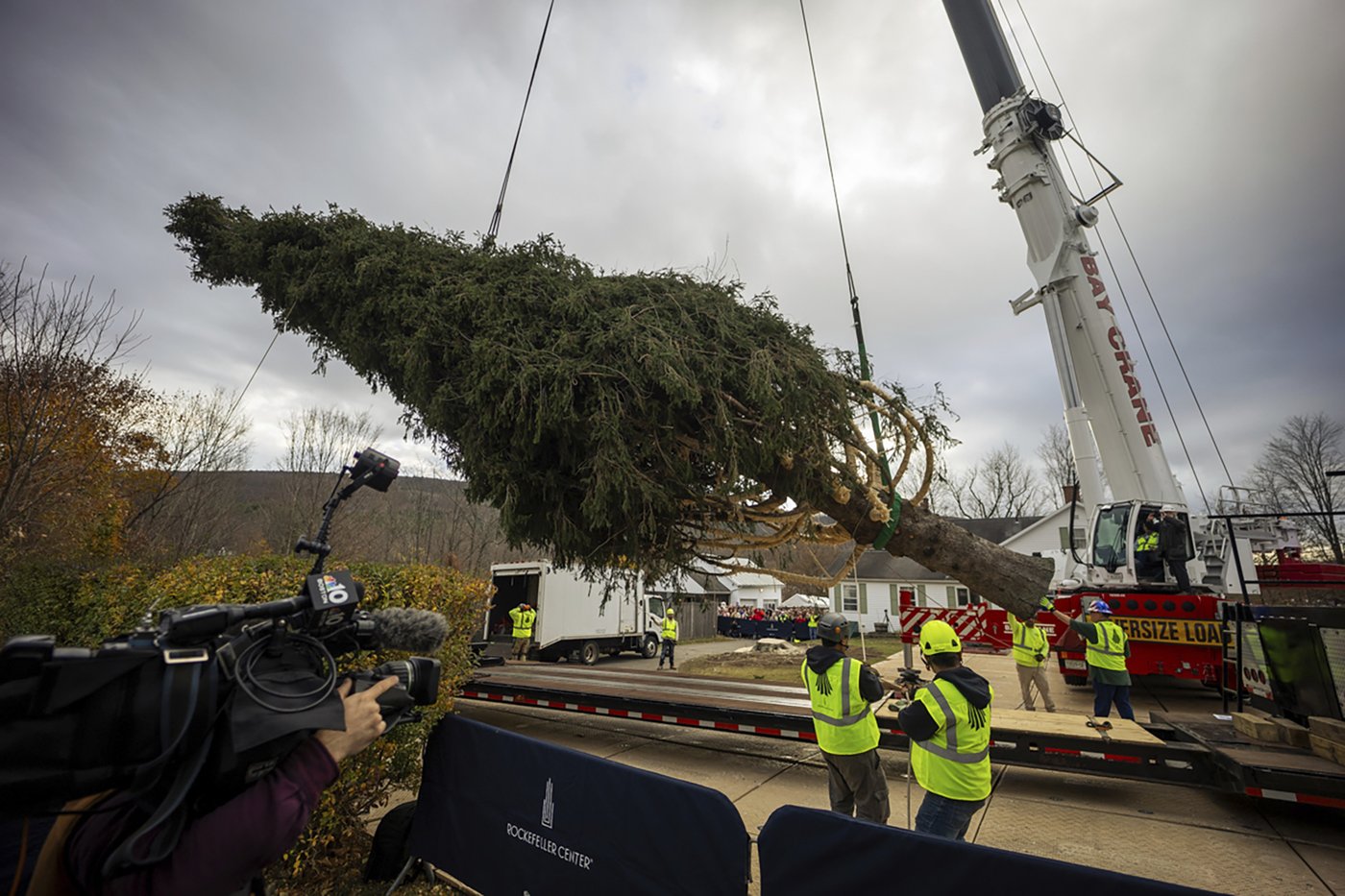 A green giant: This year's 74-foot Rockefeller Center Christmas tree is en route from Massachusetts | iNFOnews.ca