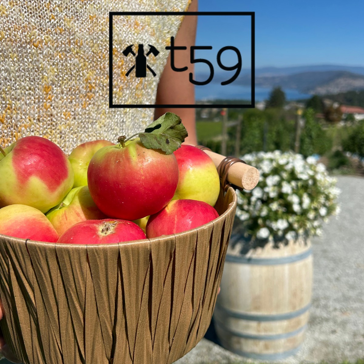 Apple Harvest Party & Live Music