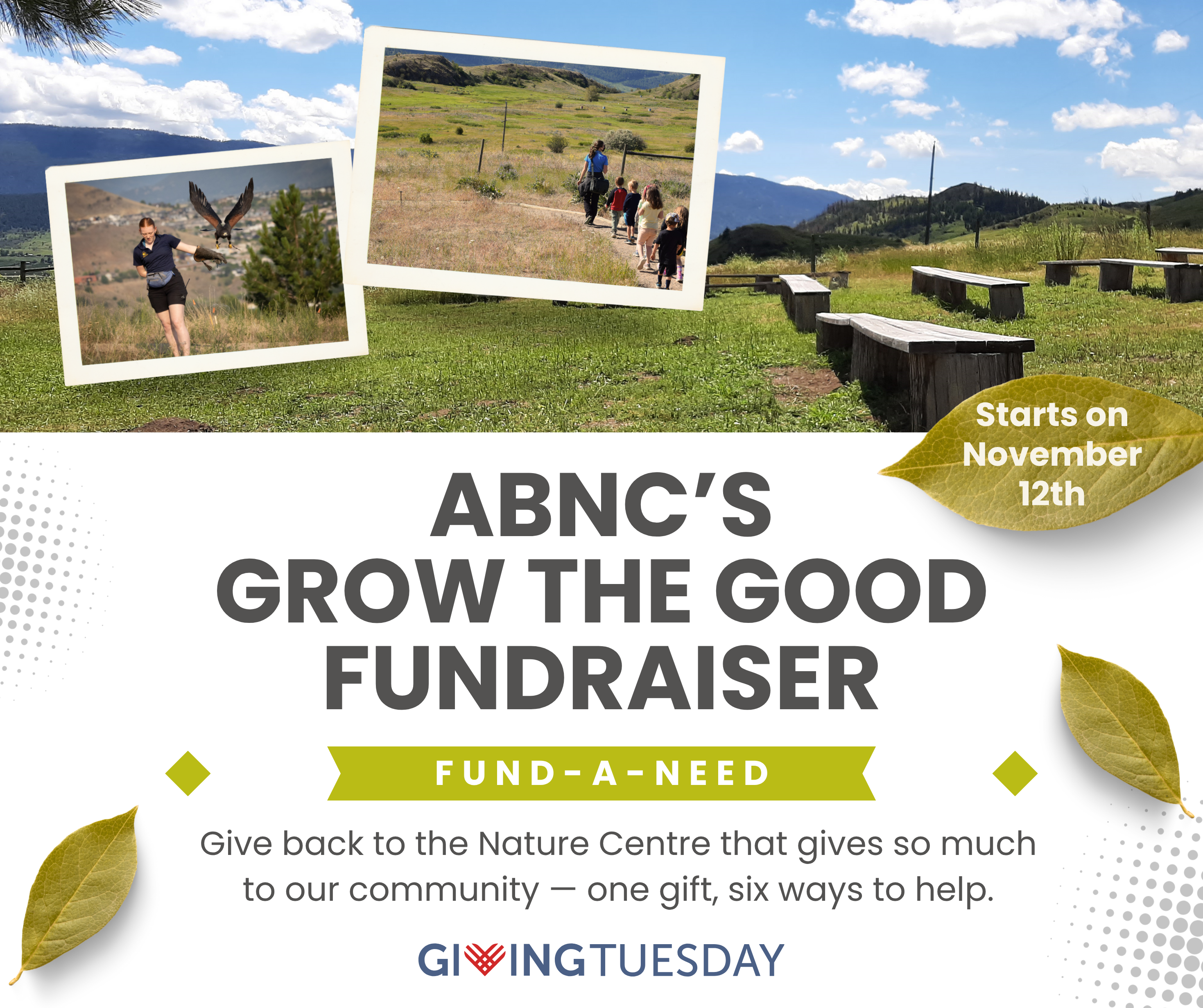 Allan Brooks Nature Centre Launches “Grow the Good” Giving Tuesday Campaign