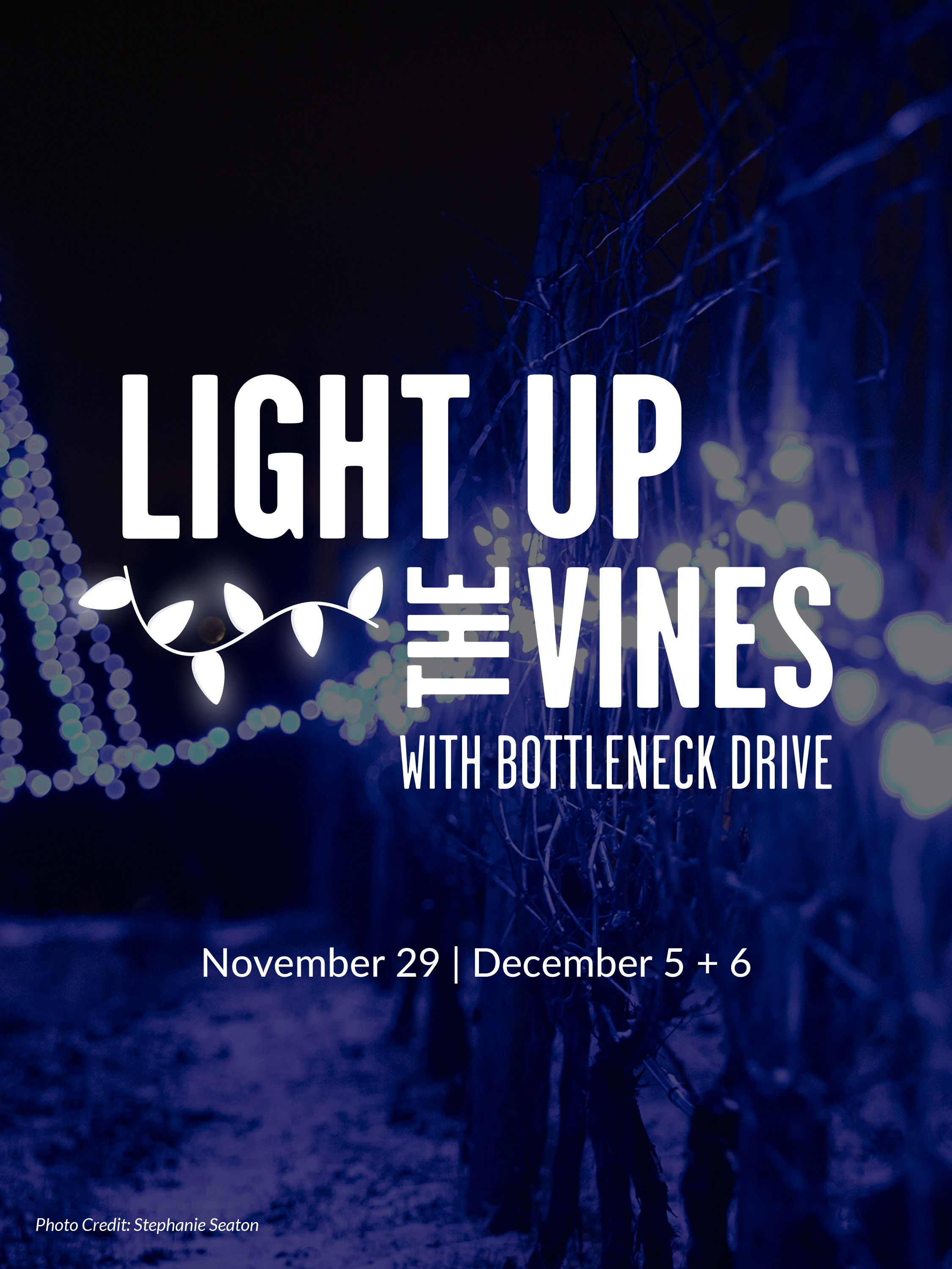 Light Up the Vines 2025 | iNFOnews.ca Light Up the Vines 2025