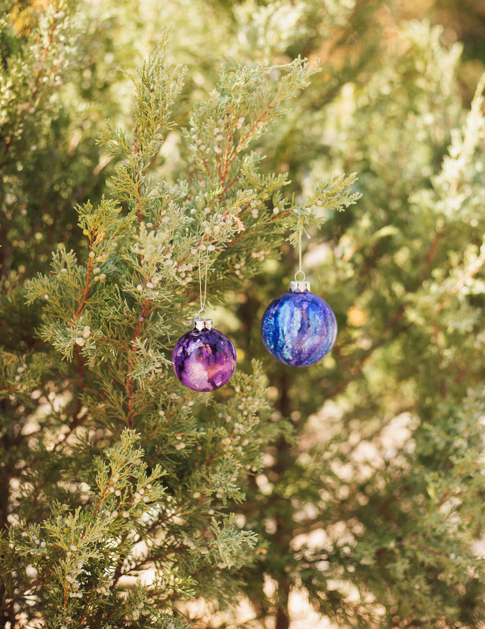 Christmas at the Lake