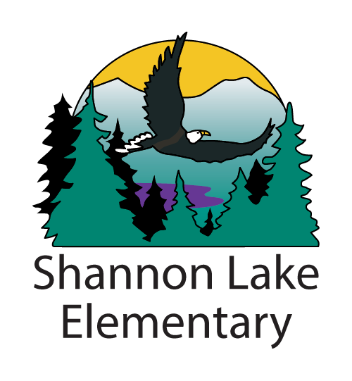 Shannon Lake Elementary School Gym