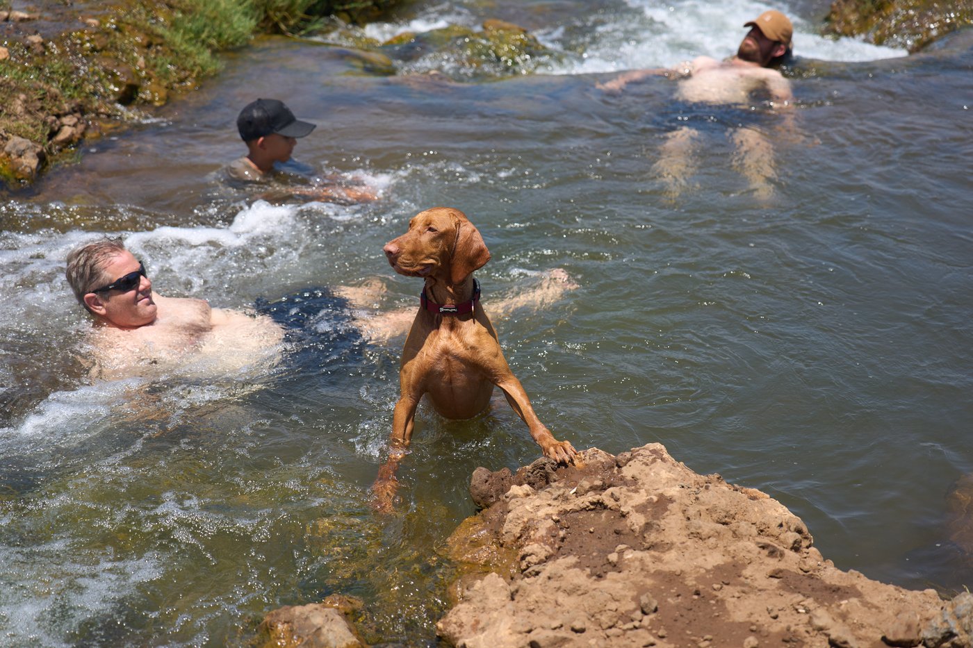 The top photos of the day by AP photojournalists | iNFOnews.ca