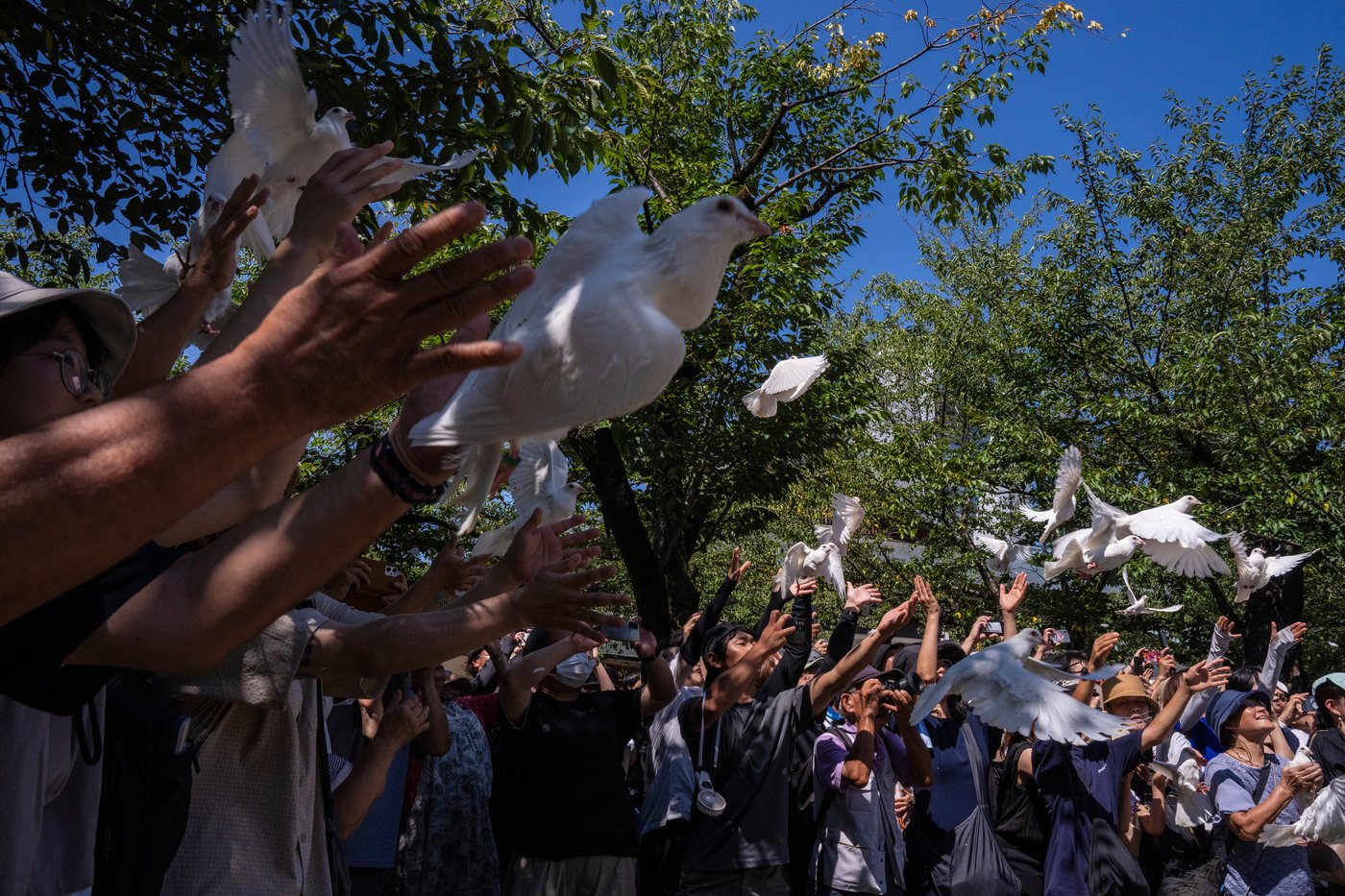 Japan marks 80th anniversary of WWII surrender as concern grows about fading memory | iNFOnews.ca
