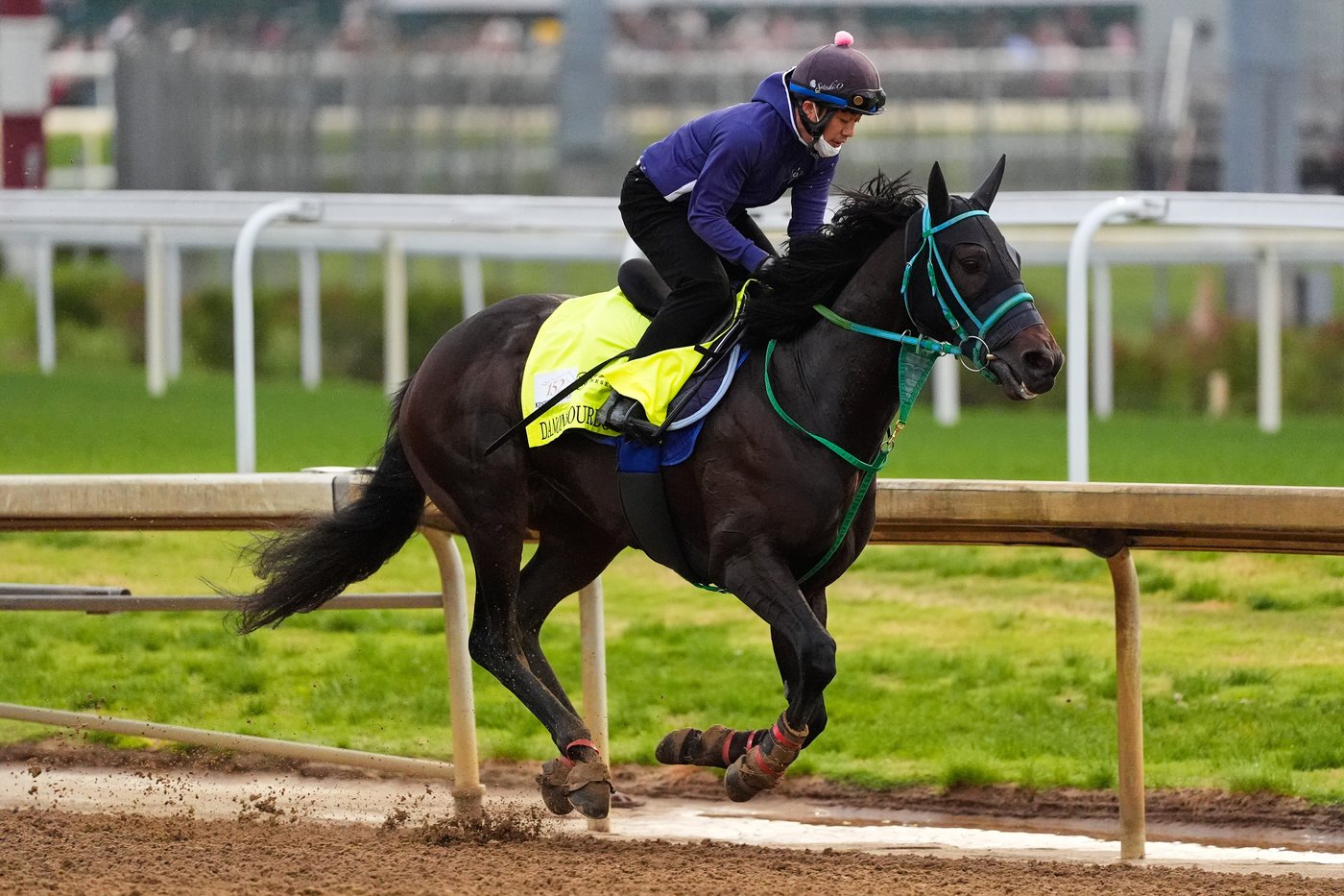 Horse racing in Japan is on the rise. A Kentucky Derby winner could be next | iNFOnews.ca