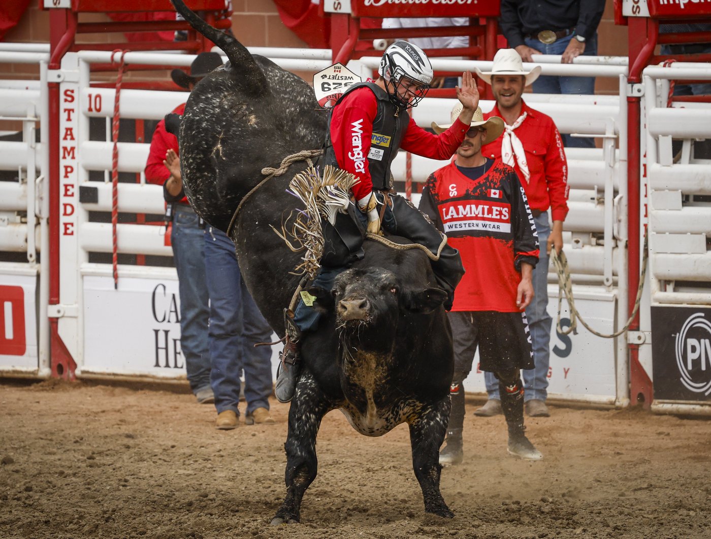 Saskatchewan's Grady Young on a bull-riding roll into Calgary Stampede rodeo | iNFOnews.ca Saskatchewan's Grady Young on a bull-riding roll into Calgary Stampede rodeo | iNFOnews.ca