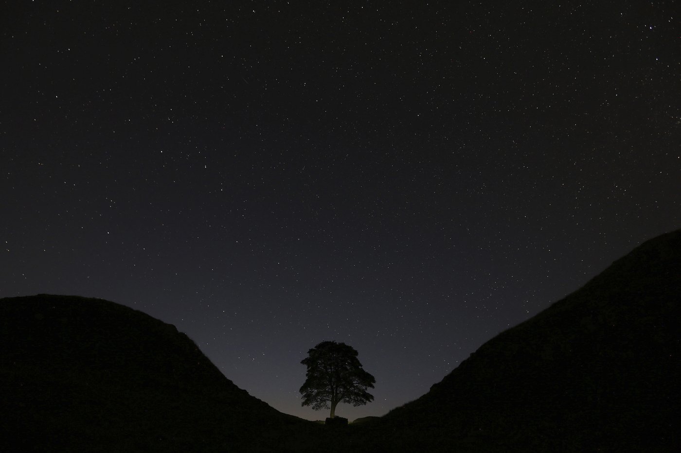 Sycamore Gap tree took more than a century to grow and less than 3 minutes to fell, prosecutors say | iNFOnews.ca Sycamore Gap tree took more than a century to grow and less than 3 minutes to fell, prosecutors say | iNFOnews.ca
