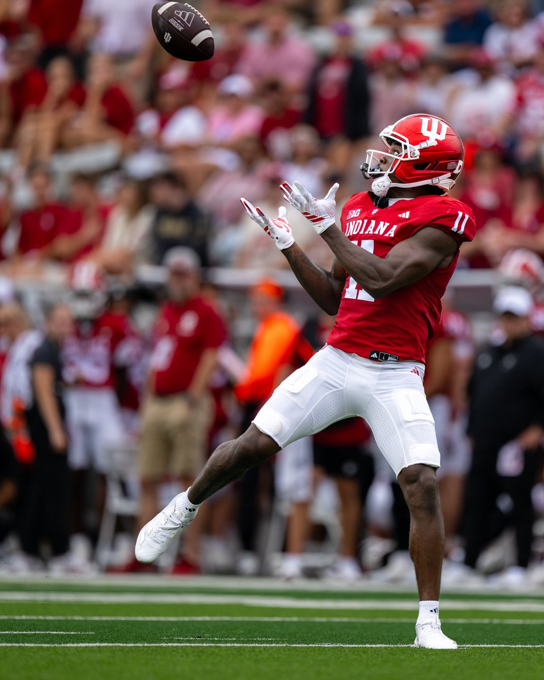 Hoover throws 4 TDs and No. 5 Indiana routs Howard 55-0 | iNFOnews.ca Hoover throws 4 TDs and No. 5 Indiana routs Howard 55-0 | iNFOnews.ca