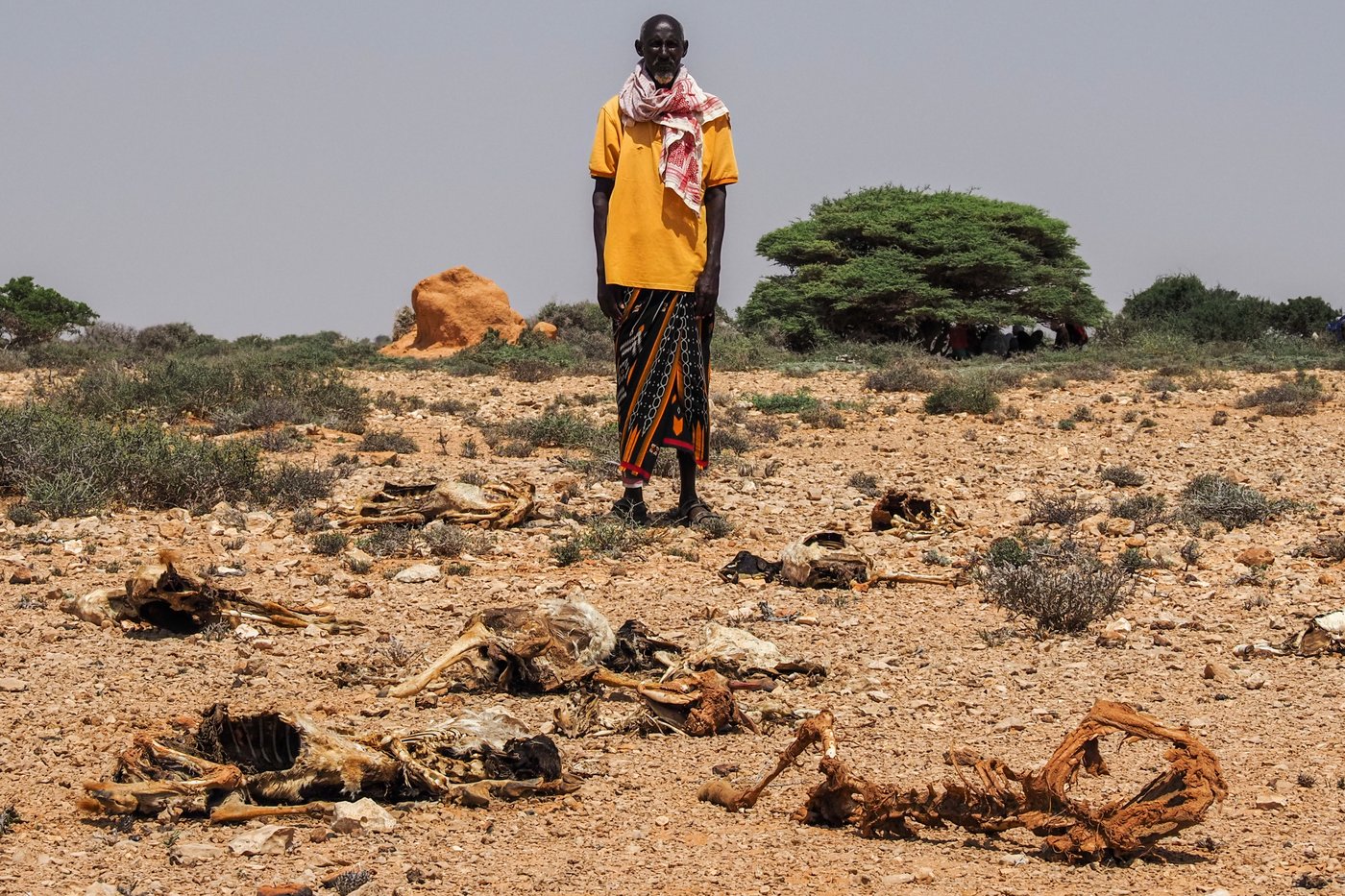 Somalia is in a deadly drought again. Most humanitarian aid isn't there this time | iNFOnews.ca