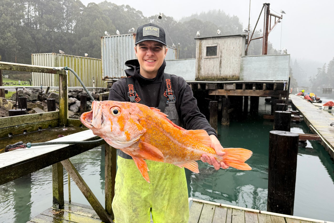 A California fisherman may have broken records by catching a 10.25-pound canary rockfish | iNFOnews.ca