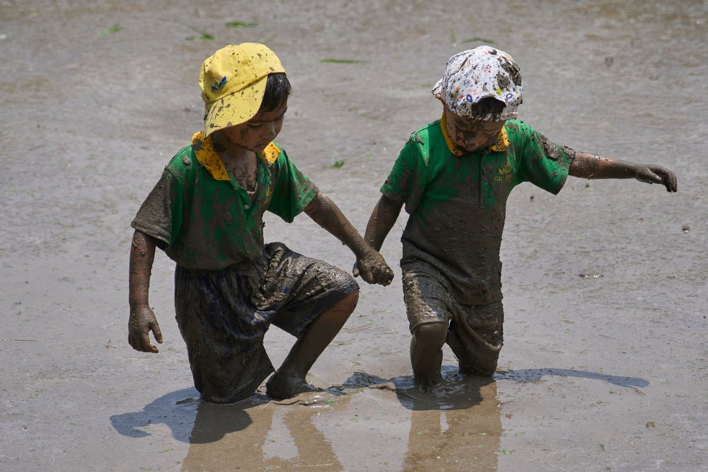 Photo show Paddy Day, the festival marking the start of the rice planting season in Nepal | iNFOnews.ca