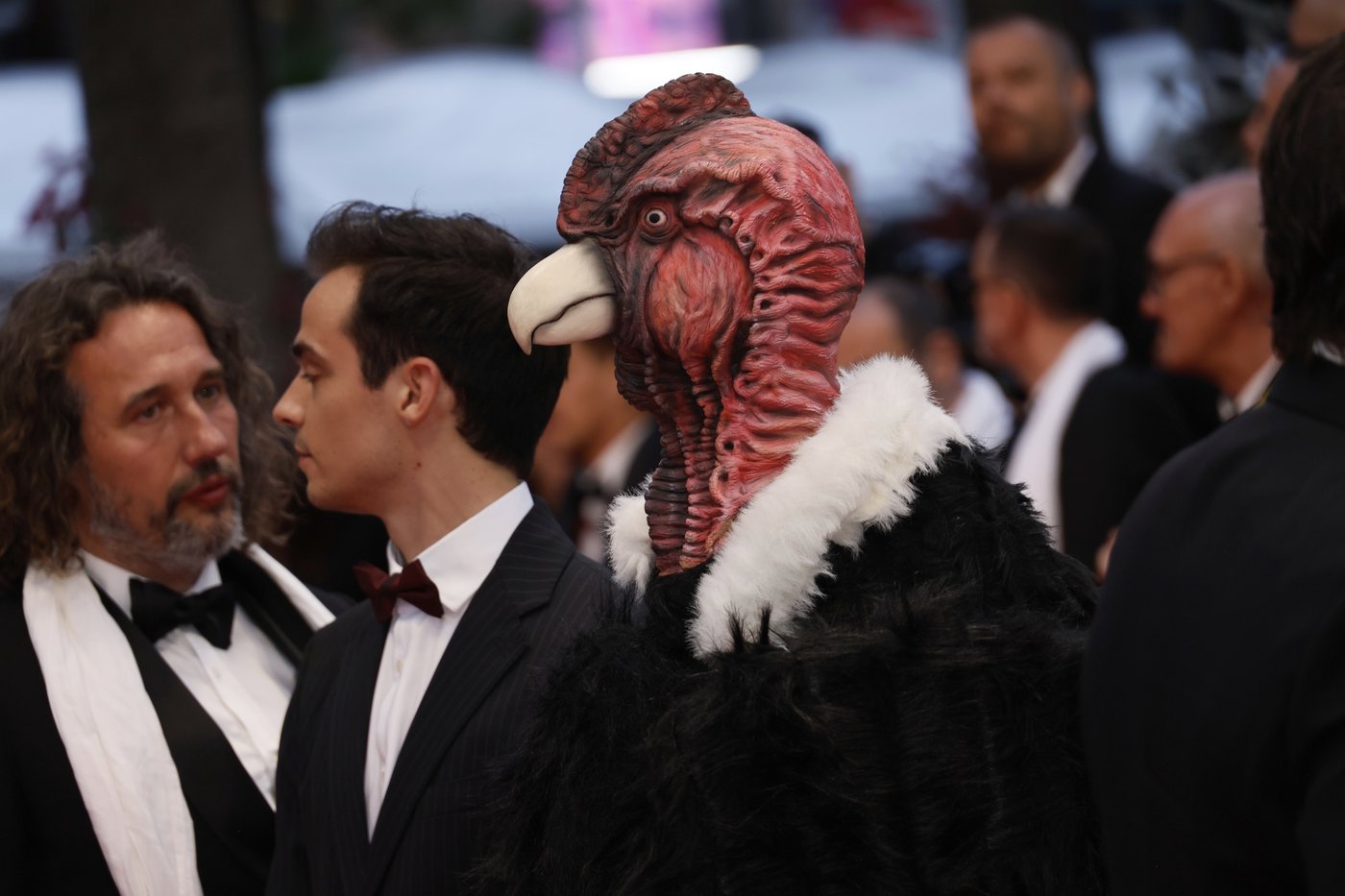 Bird man on red carpet leaves Cannes squawking | iNFOnews.ca Bird man on red carpet leaves Cannes squawking | iNFOnews.ca