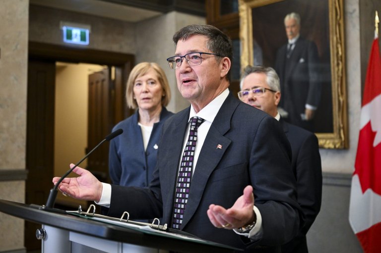 Conservatives call on auditor general to investigate $250 million PrescribeIT program | iNFOnews.ca