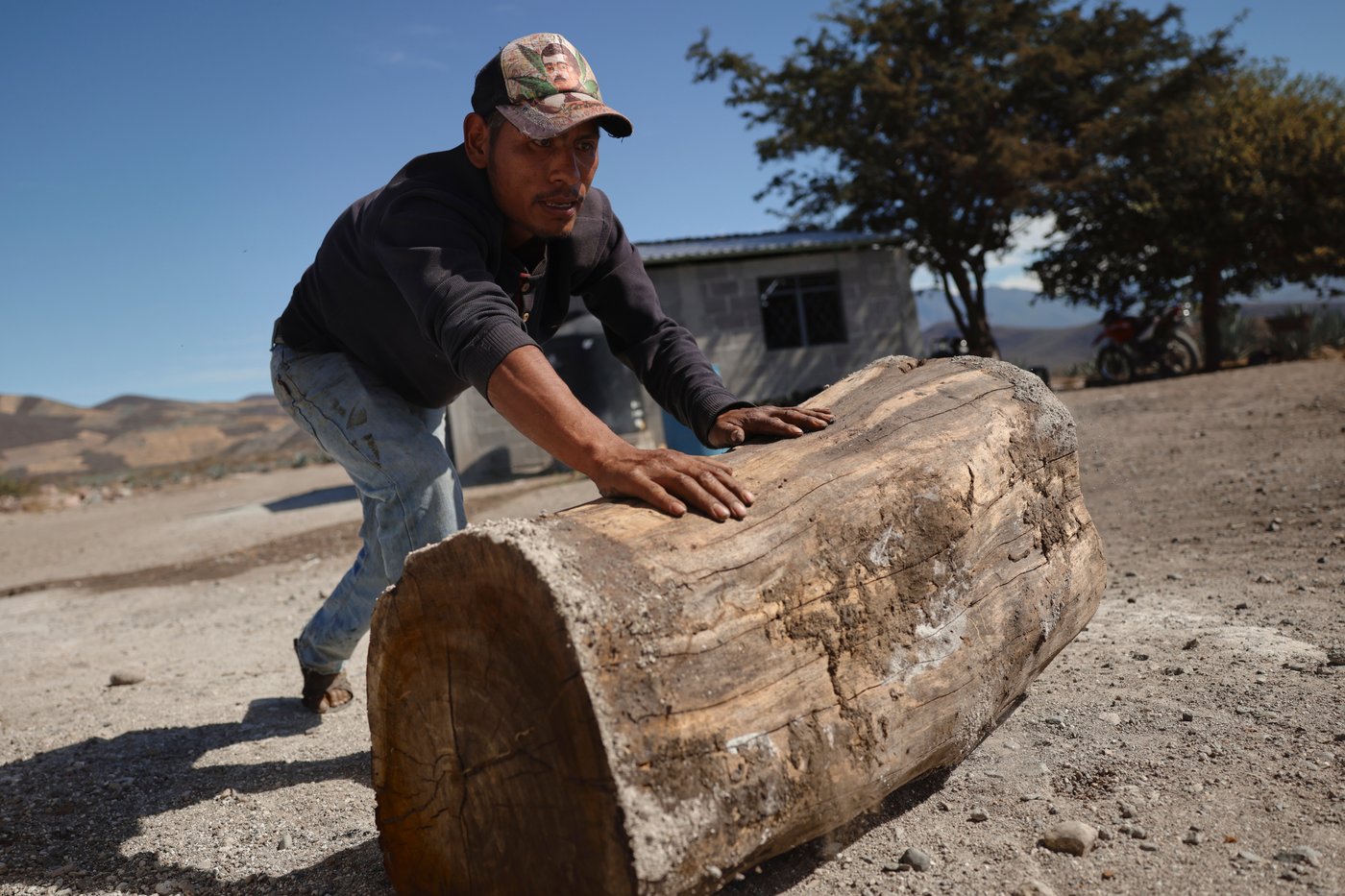 Mezcal's popularity is booming in the US. That comes with a growing environmental cost in Mexico | iNwine